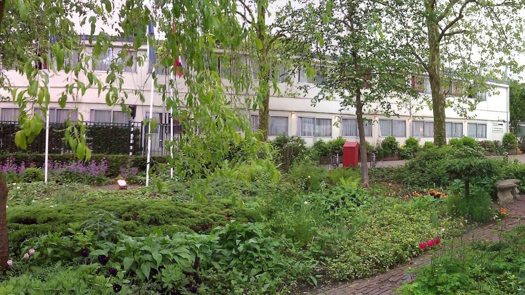 Budget Hostel Bargain Toko Amsterdam Dış mekan fotoğraf